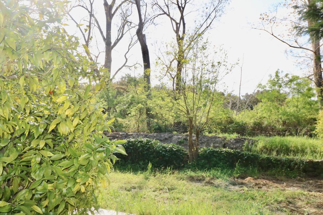 Gites Terra Di A Bravona Linguizzetta Buitenkant foto