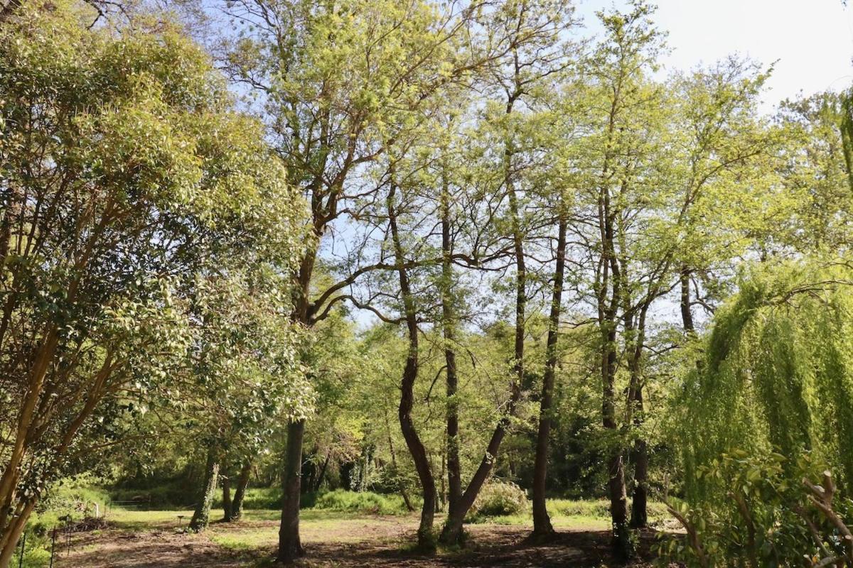 Gites Terra Di A Bravona Linguizzetta Buitenkant foto